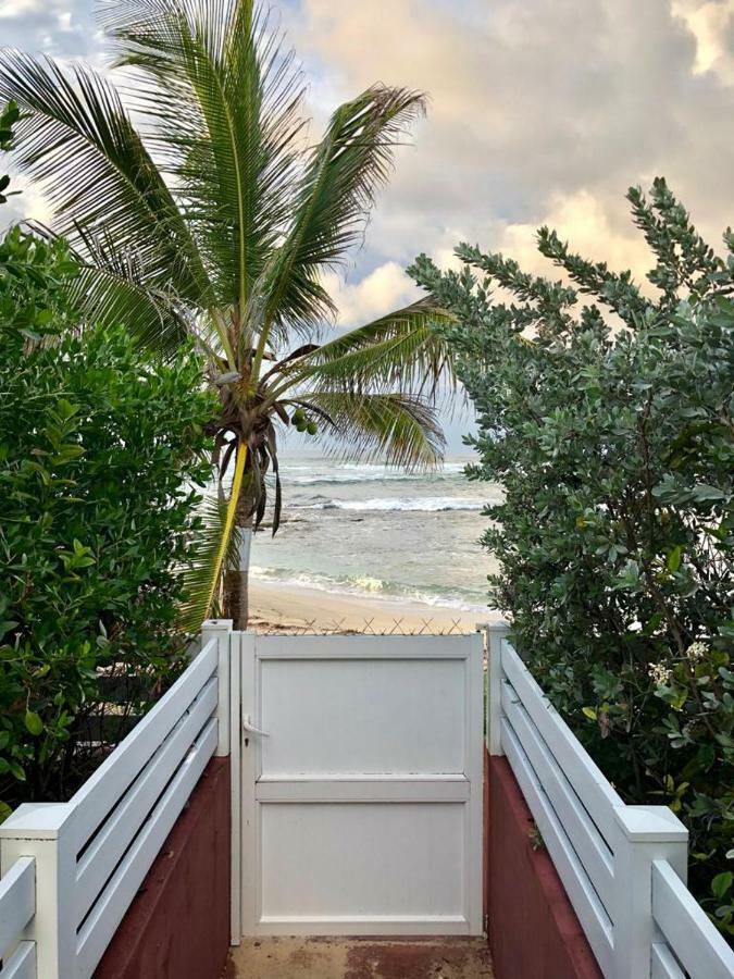 Appartement Au Bord De Mer Le Moule Exteriör bild
